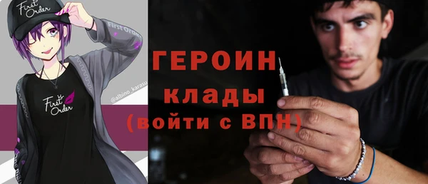 стаф Дмитров