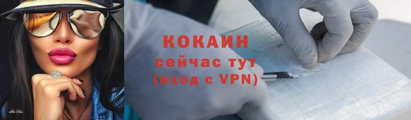 спиды Гусев