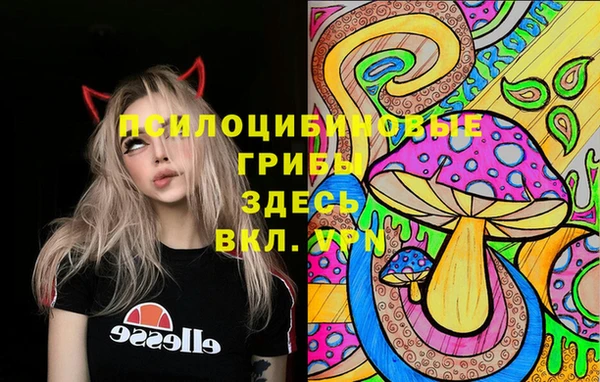 2c-b Гусь-Хрустальный
