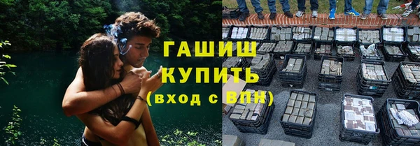спиды Гусев