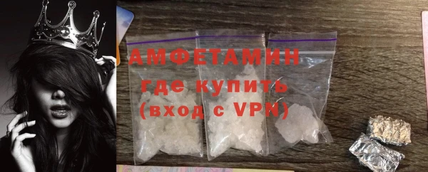 спиды Гусев