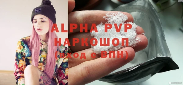 стаф Дмитров