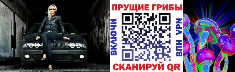 Псилоцибиновые грибы Cubensis  Купить где  Ивангород 
