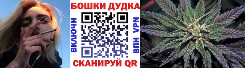 Купить где  Ивангород  Каннабис семена 